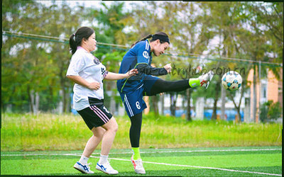 社区投稿专题的编辑面板与稿件卡片抽象图